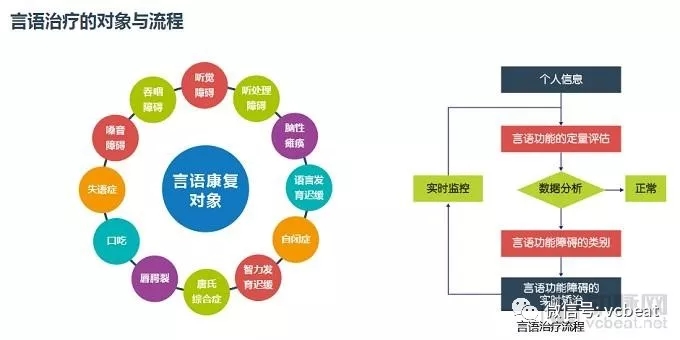 中国言语康复产业