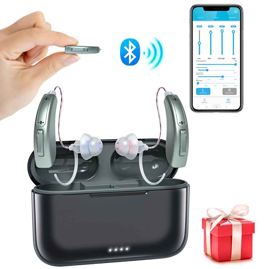 Hearing aid-5216B